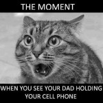 Funny Animal Memes - your dad