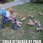 Funny Animals Memes - media be like