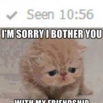 Funny Animals Memes - my friendship