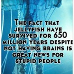 Funny Memes - Ecards - jellyfish fact