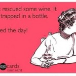 Funny Memes - Ecards - saved the day
