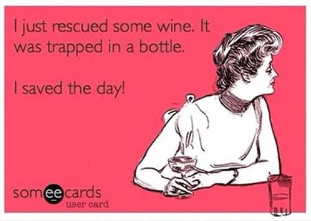 Funny Memes - Ecards - saved the day