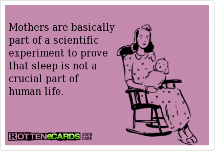 Funny Memes - Ecards - scientific experiment