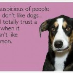 Funny Memes - Ecards - trust the dog