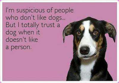 Funny Memes - Ecards - trust the dog