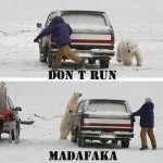 Funny Memes - dont run
