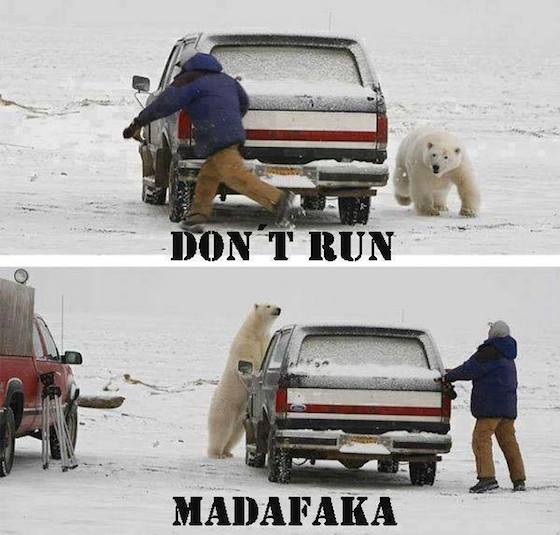 Funny Memes - dont run