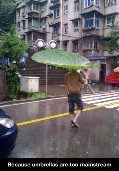 Funny Memes - screw umbrellas