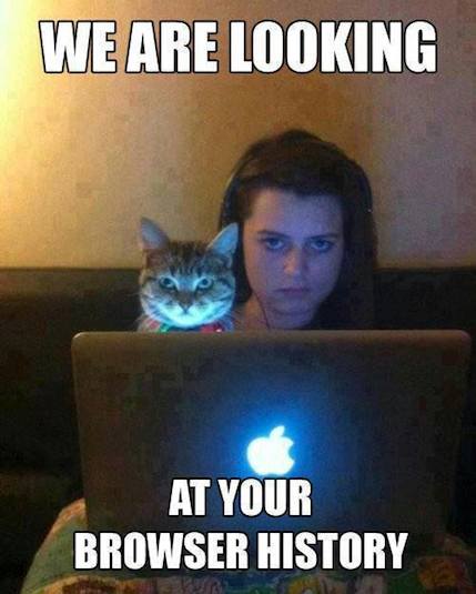 Funny Memes - your browser history