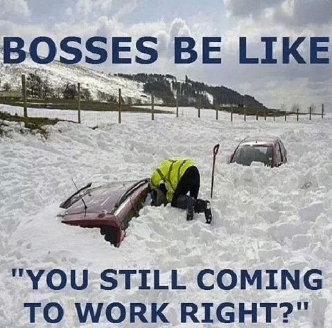 Funny Memes: bosses be like