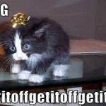 Animal Memes - get it off