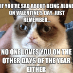 Funny Animal Memes - valentines day grumpy cat