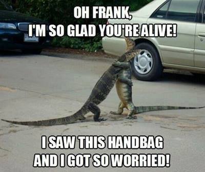 Funny Animal Memes - youre alive