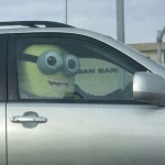 Funny Memes - despicable me passenger