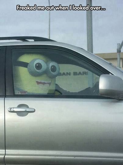 Funny Memes - despicable me passenger