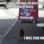 Funny Memes - fear no evil