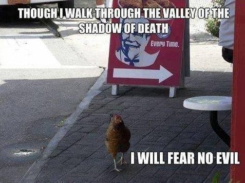 Funny Memes - fear no evil