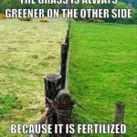 Funny Memes - fertilized with bullshit