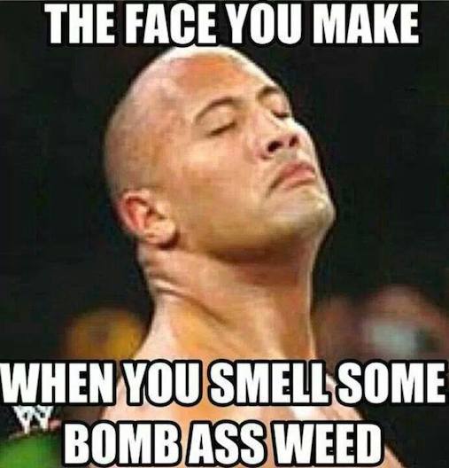 Funny Memes - the rock is cookin