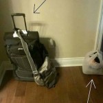 Funny Memes - women vs men packing