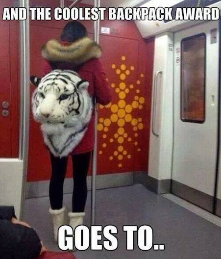 Funny Memes: awesome backpack