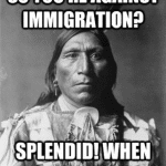 Political Memes: against immigration