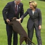 Political Memes: call her monica