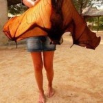 Animal Memes - giant bat