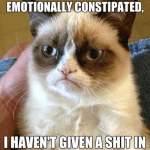 Animal Memes - havent given a shit