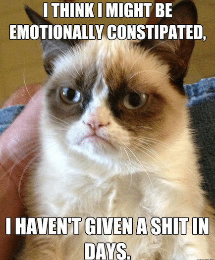 Animal Memes - havent given a shit