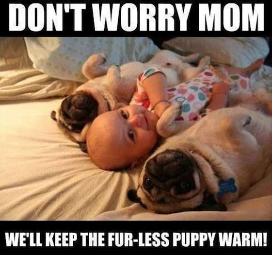 Baby Memes - dont worry mom