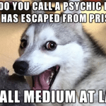 Funny Animal Memes - small medium at large