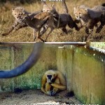 Funny Memes - relationship status