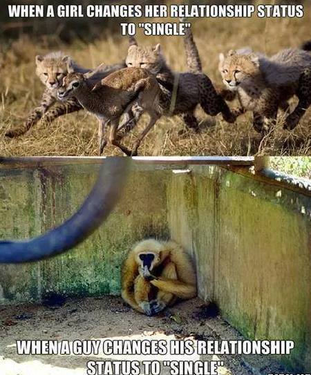 Funny Memes - relationship status