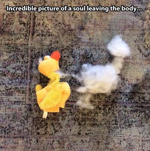 Funny Memes - soul leaving
