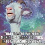 Funny Memes - space goat
