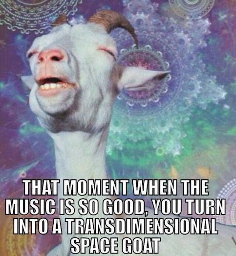 Funny Memes - space goat