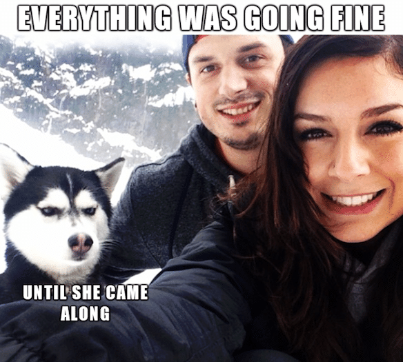 Funny Memes - until she came along