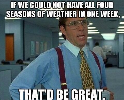 Funny Memes: all four seasons