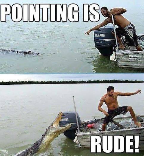 Funny Memes - pointing is rude