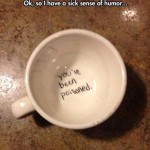 Funny Memes - sense of humor
