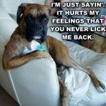 Funny Animal Memes - just saying