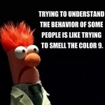 Funny Memes - people