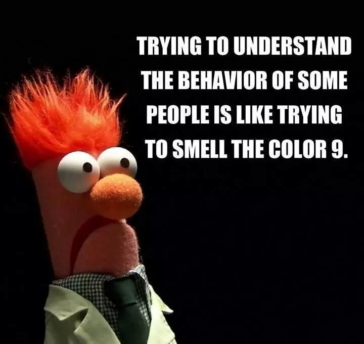 Funny Memes - people