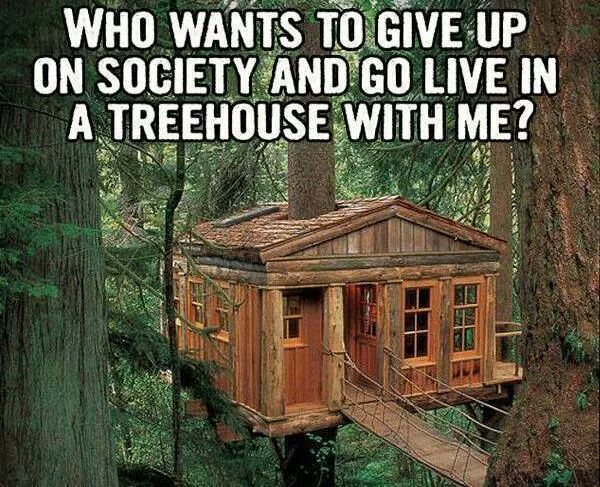 Funny Memes - treehouse