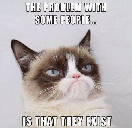 Funny Animal Memes - tumblr n4106aGBYH1r9m0ceo1 500