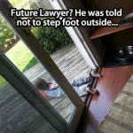 Funny Memes - Future Lawyer