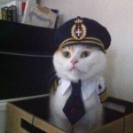 Animal Memes - fceda53e854ea2c47397f333fc342bb5