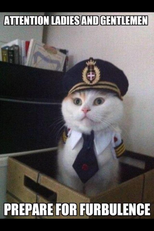Animal Memes - fceda53e854ea2c47397f333fc342bb5