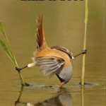 Funny Memes - fb595dc9725e8979bd034f72cffa757e
